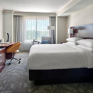 One-Bedroom King Suite